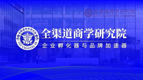 2023年國內(nèi)專業(yè)招商外包服務(wù)企業(yè)綜合能力排行榜 聚焦前三甲，探索企業(yè)管理咨詢新動力